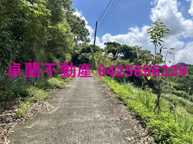 苗栗大湖山坡地-1