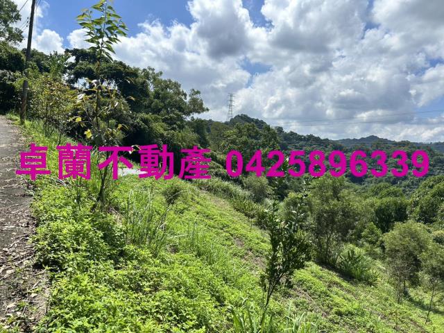苗栗大湖山坡地-2