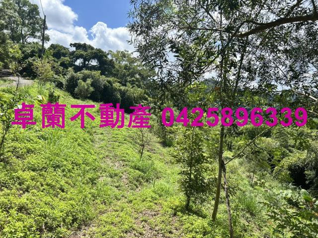 苗栗大湖山坡地-3