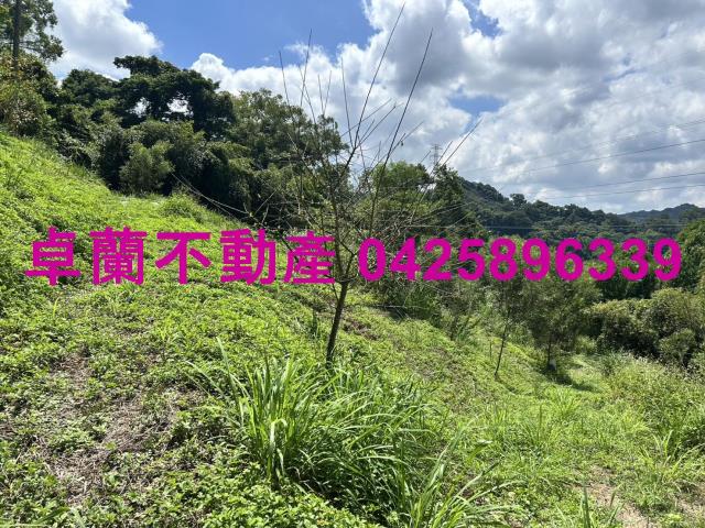 苗栗大湖山坡地-4
