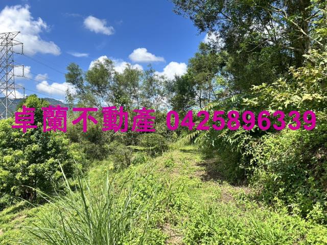 苗栗大湖山坡地-5