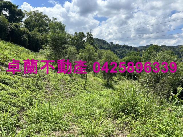 苗栗大湖山坡地-6