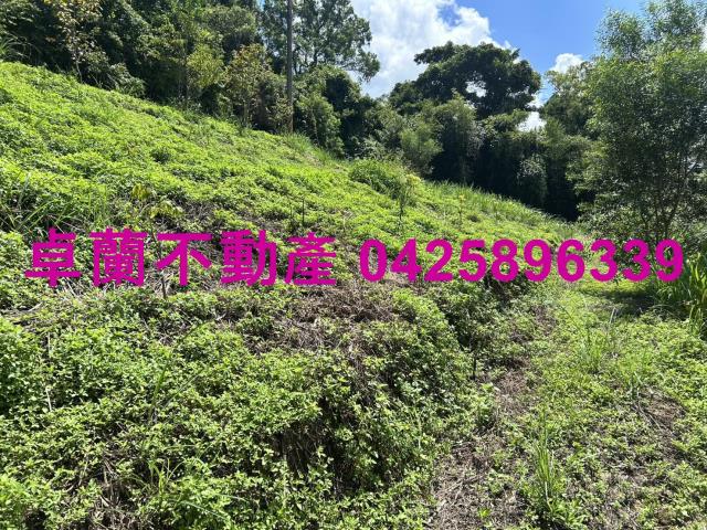 苗栗大湖山坡地-7