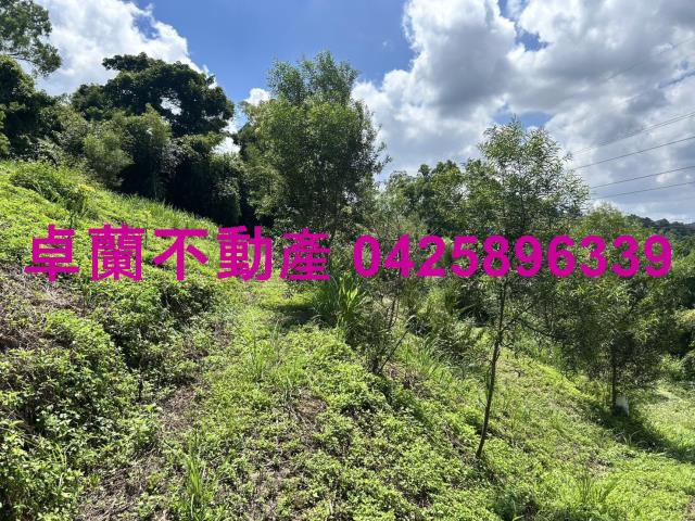 苗栗大湖山坡地-8