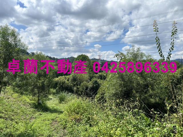 苗栗大湖山坡地-9