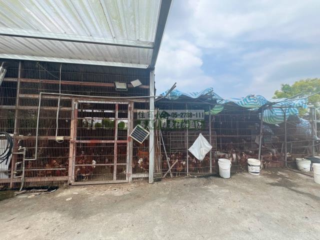 嘉義中埔農地-5