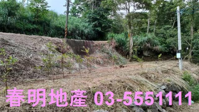 新竹橫山農地-11