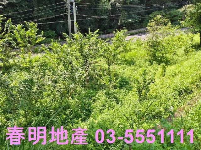 新竹橫山農地-4