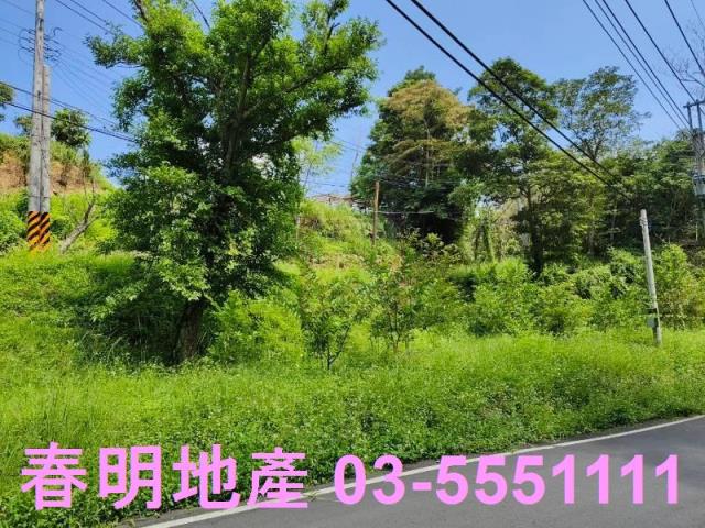 新竹橫山農地-9