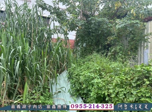 嘉義溪口建地-2