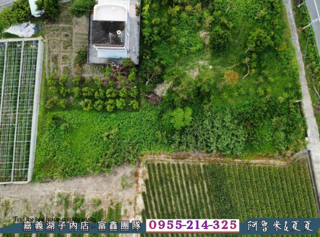 嘉義竹崎農地-7