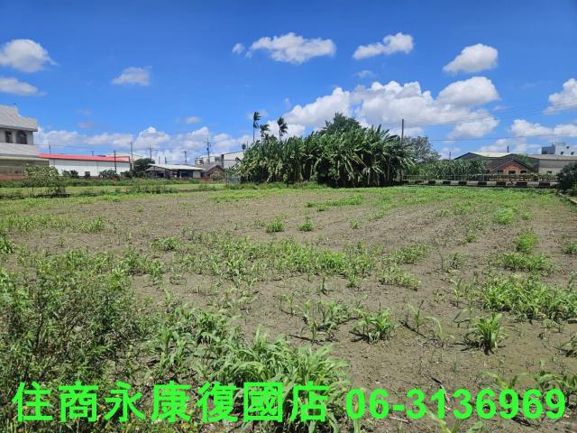 鹽水建地-6