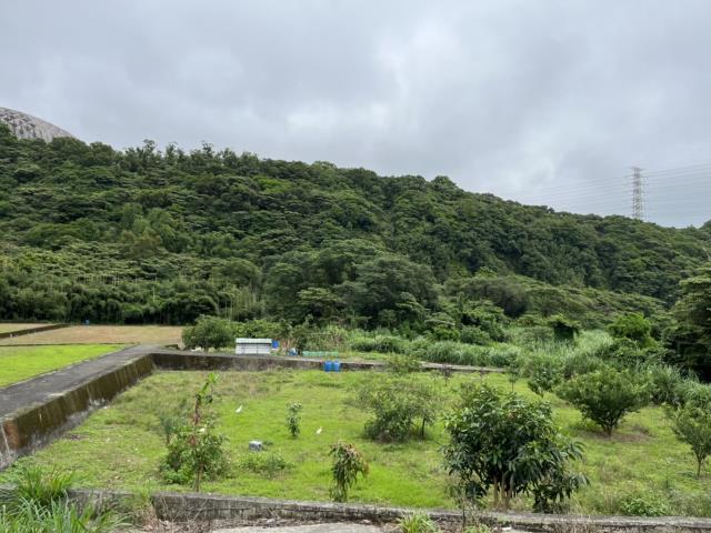 桃園農地-2