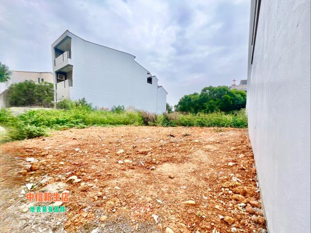 桃園建地-3