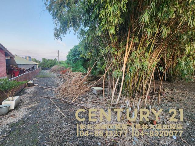 彰化永靖建地-5