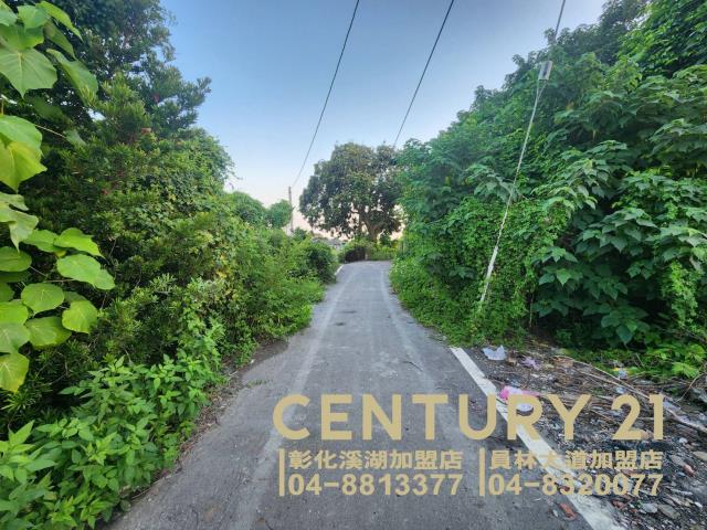 彰化永靖建地-6