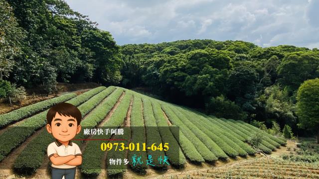 桃園蘆竹農地-5