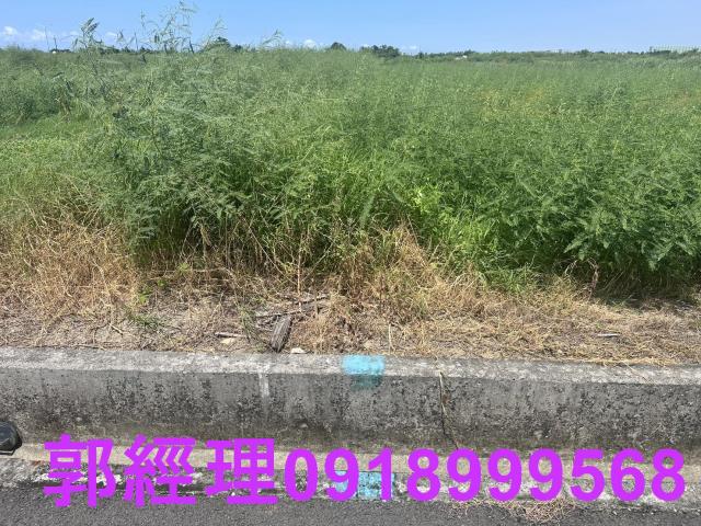 台南七股農地-3