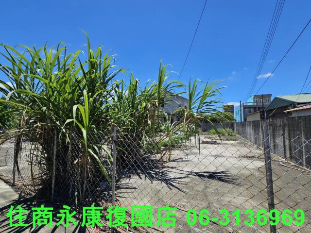 台南鹽水建地-2