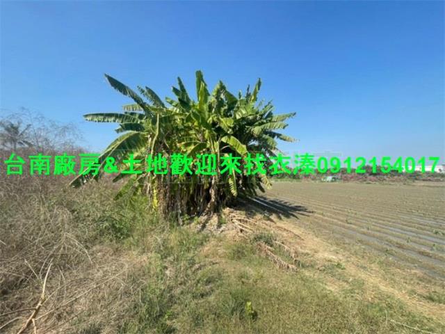 台南安南農地-1