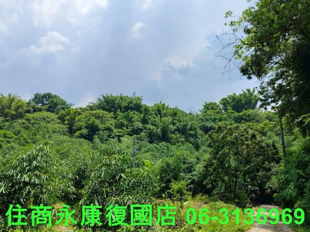 台南左鎮農地-11