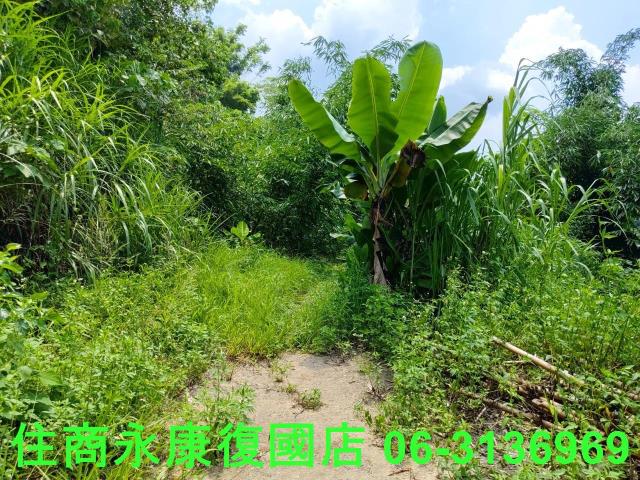 台南左鎮農地-1