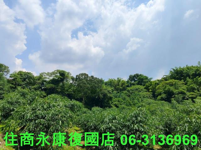 台南左鎮農地-13