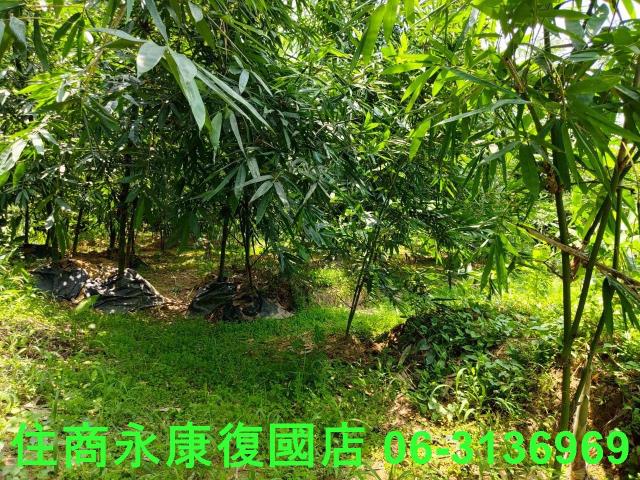 台南左鎮農地-14