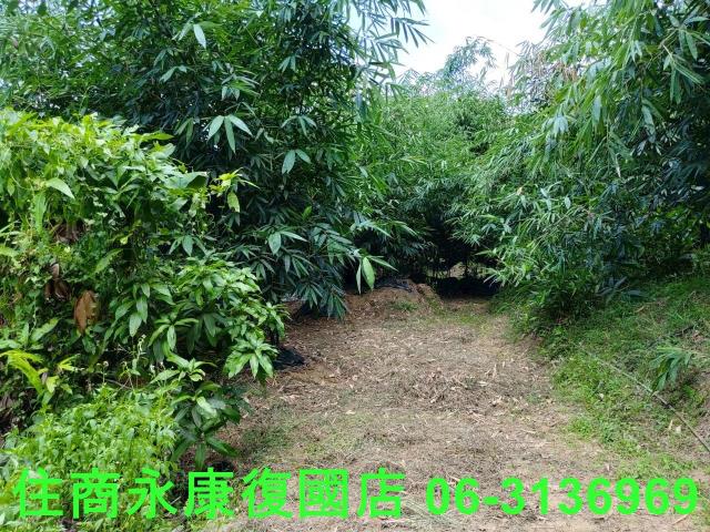 台南左鎮農地-6