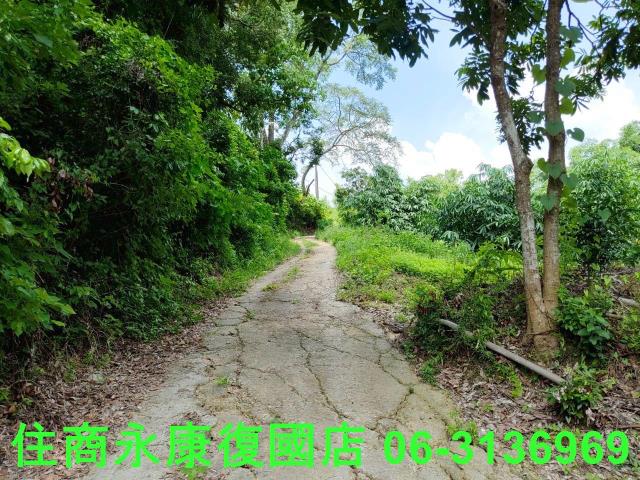 台南左鎮農地-7