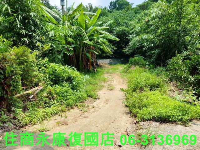 台南左鎮農地-8