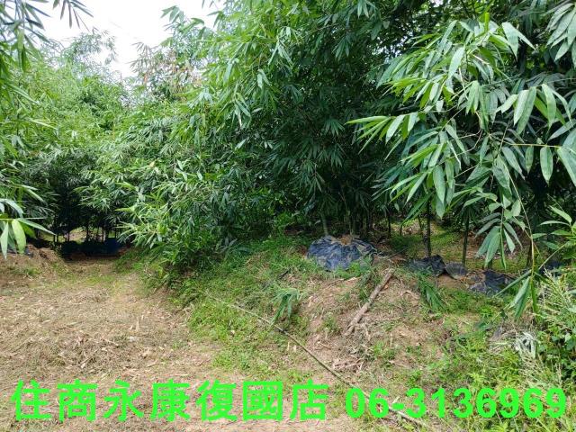 台南左鎮農地-9