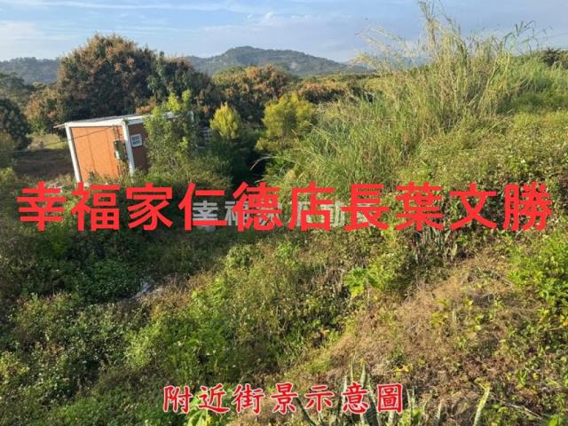 台南玉井農地-15