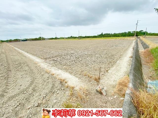 台南麻豆農地-11