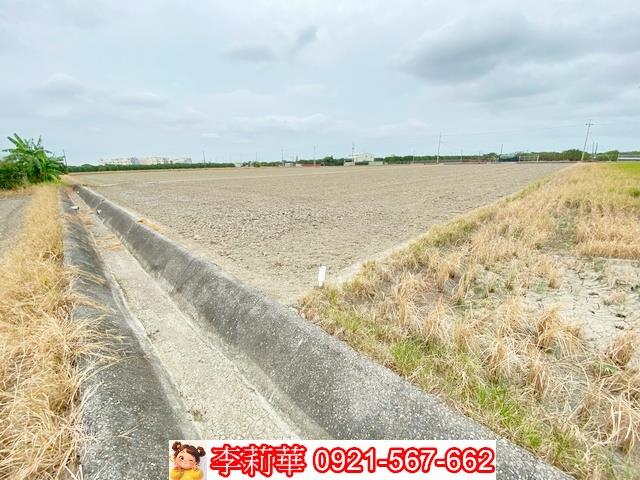 台南麻豆農地-12