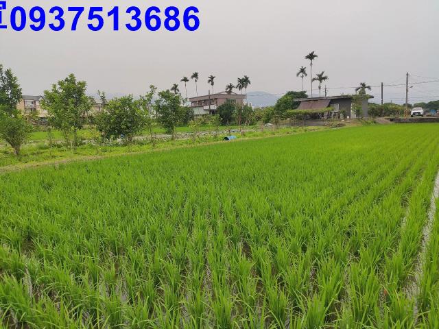 宜蘭三星農地-2