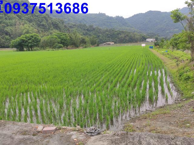 宜蘭三星農地-1