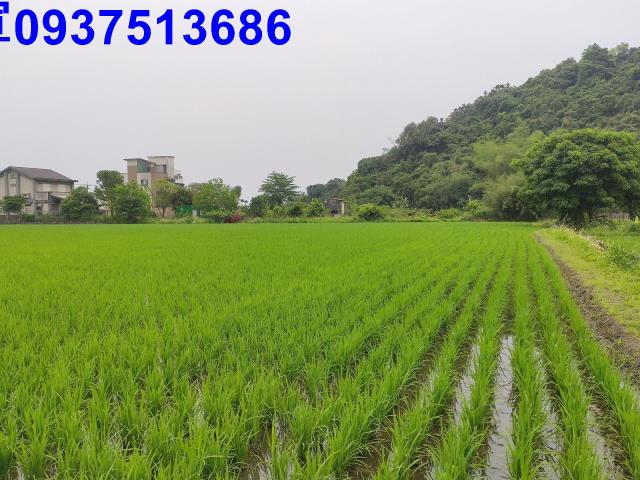 宜蘭三星農地-4