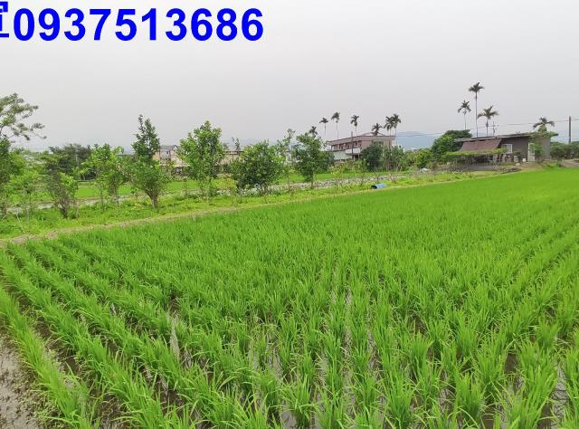 宜蘭三星農地-5