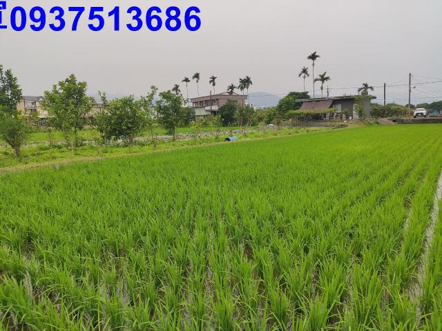 宜蘭三星農地-6