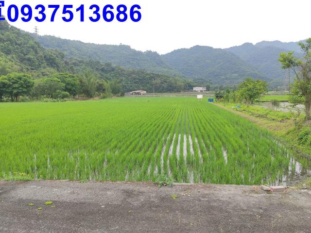 宜蘭三星農地-7