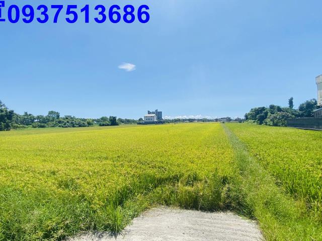 宜蘭五結農地-11