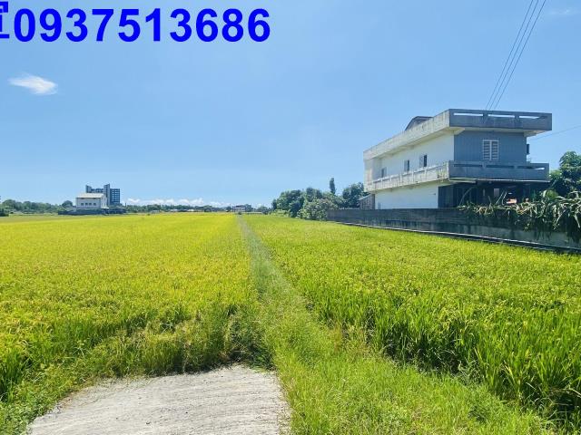 宜蘭五結農地-5