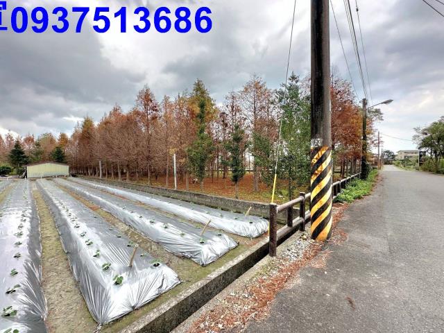 宜蘭員山農地-1