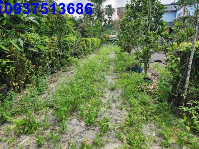 宜蘭員山農地-3