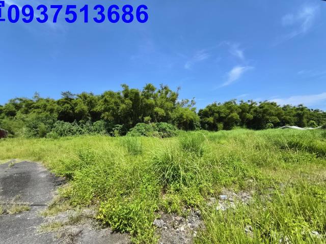 宜蘭五結農地-5