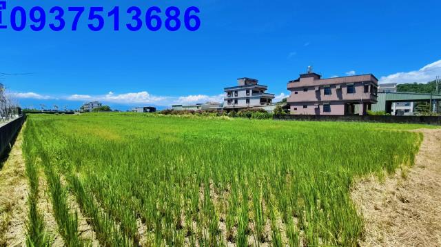 宜蘭礁溪農地-4