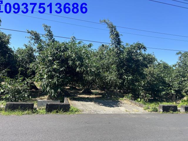 宜蘭員山農地-6