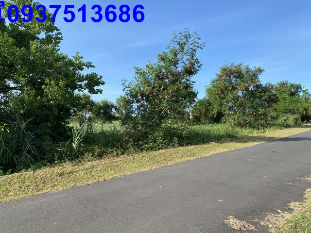 宜蘭五結農地-5