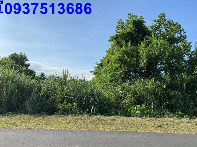 宜蘭五結農地-6